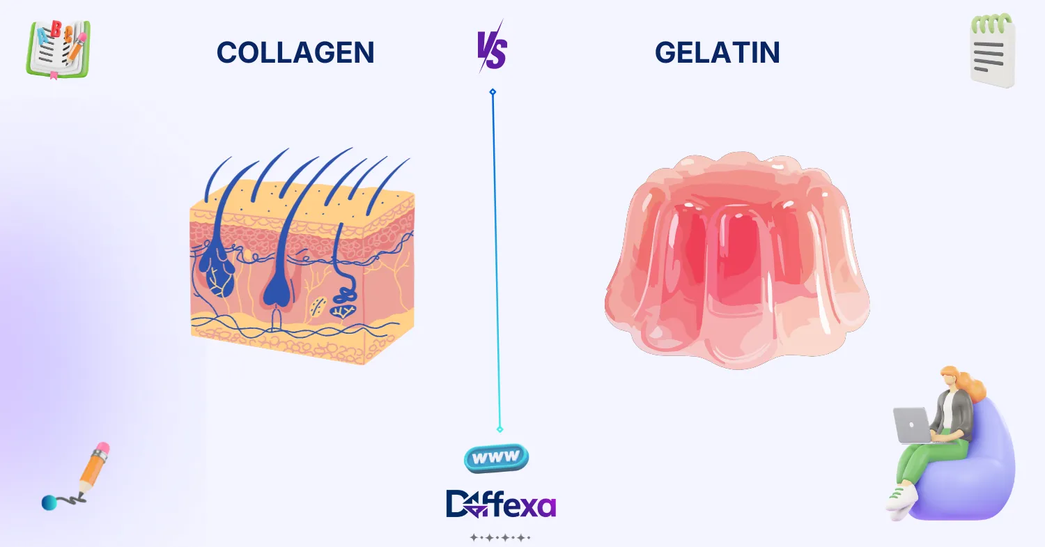 difference between collagen and gelatin
