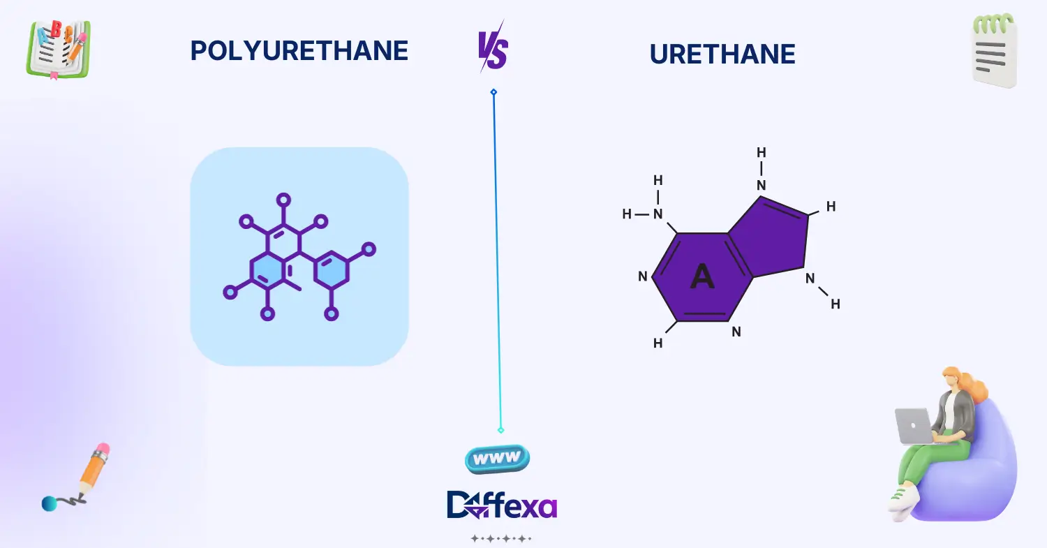 difference between polyurethane and urethane