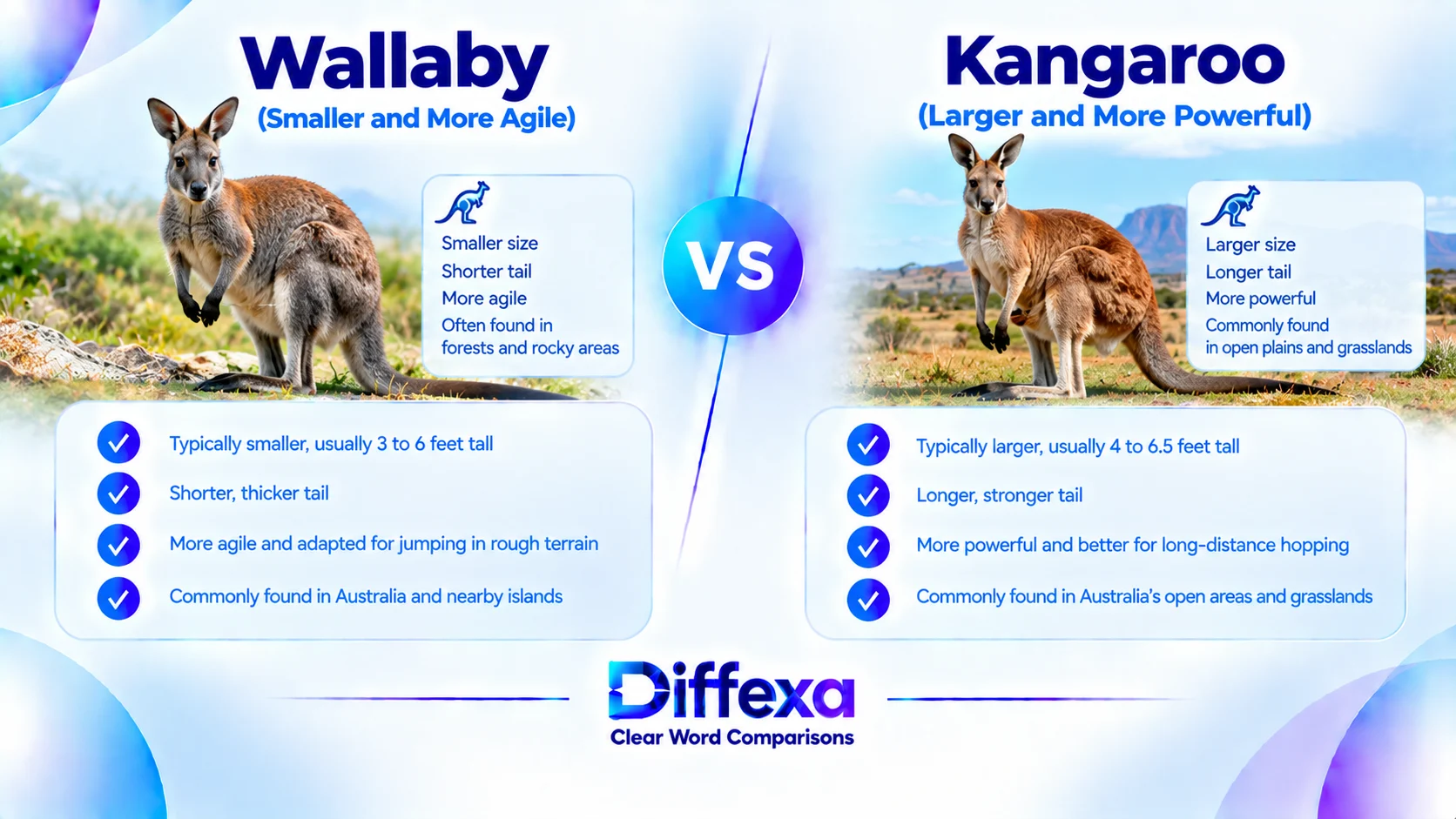 difference between wallaby and kangaroo